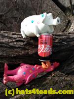 /home//u458753944/public_html/sourcegallery//Chickens/Soda Addiction/IMG_20210116_110929914.jpg